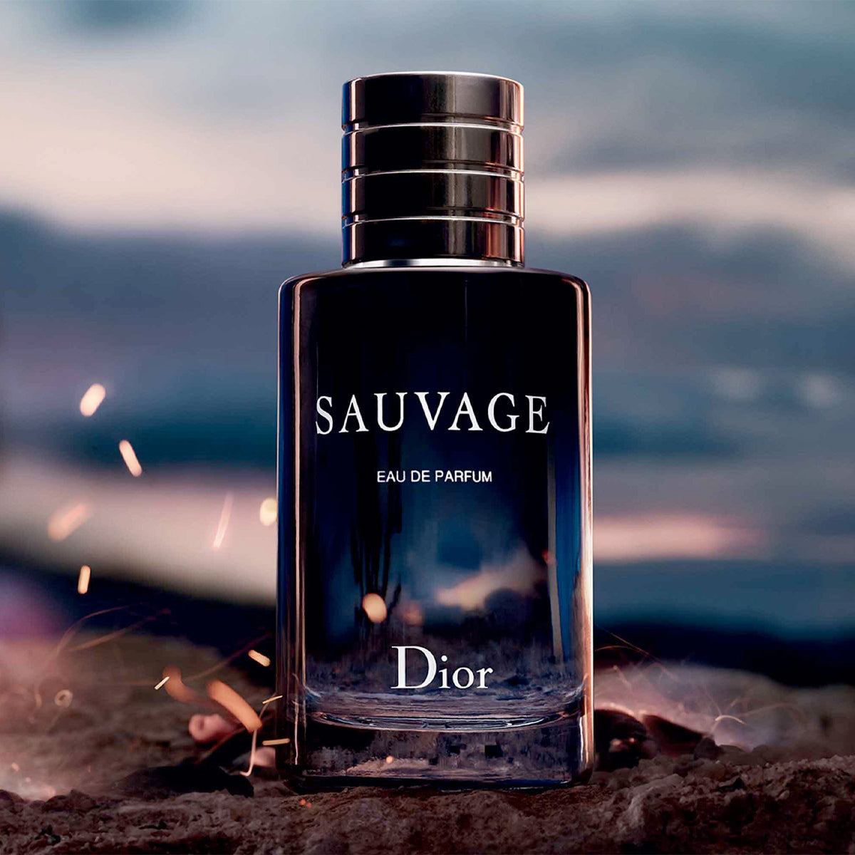 Christian Dior - 預訂｜Sauvage EDP 曠野男士淡香精 100ml - 平行進口