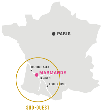 Chateau Soubiran - 法國索碧莊園紅酒 2020 750ml