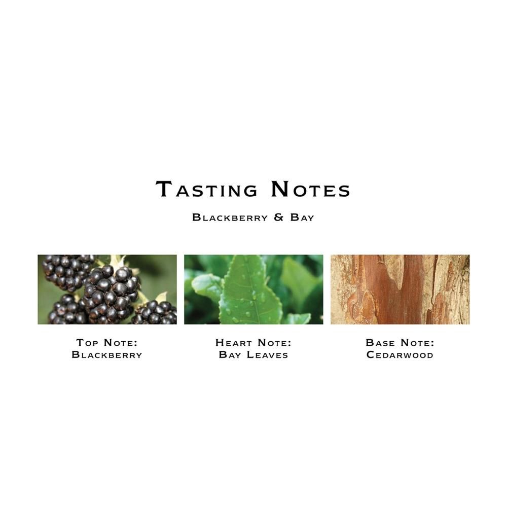 Jo Malone - Blackberry & Bay 黑莓子與月桂葉古龍水 連盒 30ml/100ml - 平行進口 - 同人辦館 Our HK Mall