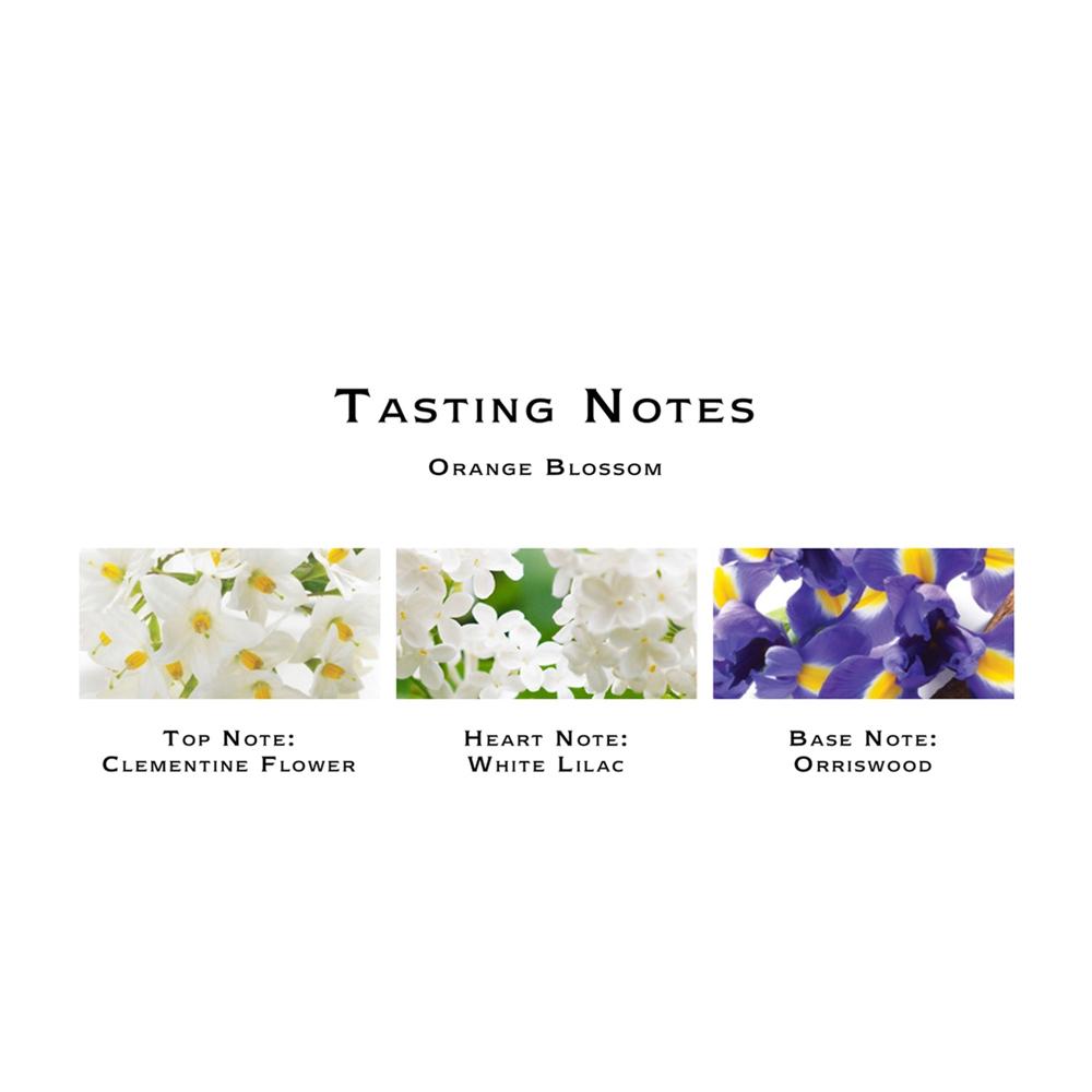 Jo Malone - Orange Blossom 橙花古龍水 連盒 30ml/100ml - 平行進口 - 同人辦館 Our HK Mall