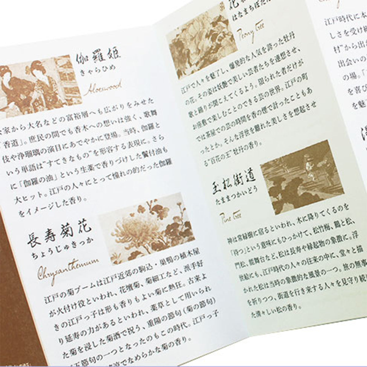 日本香堂 - 大江戶香｜伽羅姫｜沉香線香｜60支 42g 連香架 - 平行進口