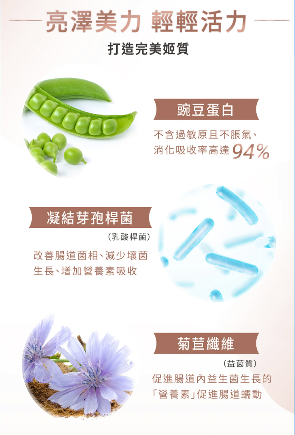 TRYALL -【10包裝】機能植物蛋白飲｜輕輕活力深可可奶｜30g/包