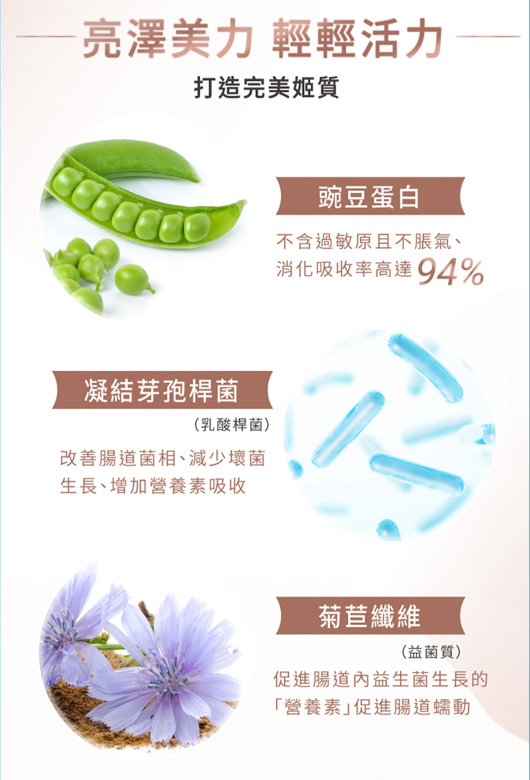 TRYALL -【10包裝】機能植物蛋白飲｜輕輕活力深可可奶｜30g/包