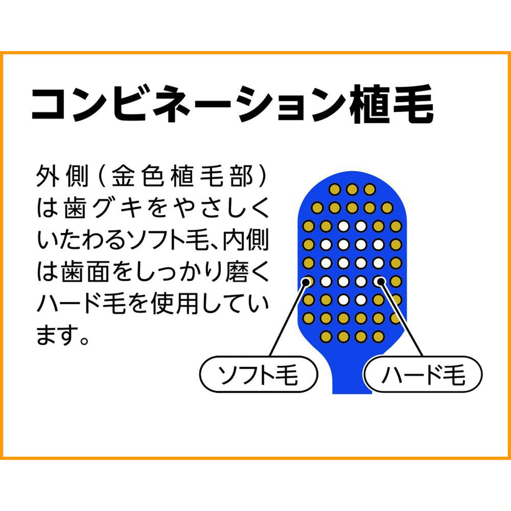 EBISU - Super Care｜#61 呵敏護齒牙刷 軟毛 B-181 | 4支| 顏色隨機 - 平行進口