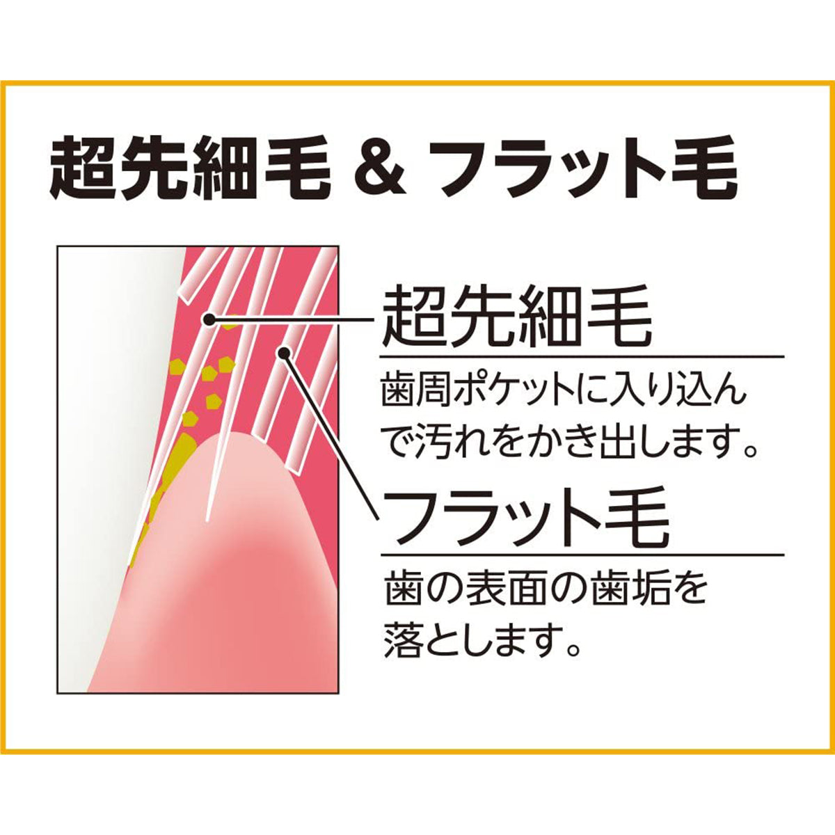 EBISU - Super Care｜#82 寬頭牙刷 | 中毛 | 4支| 顏色隨機 - 平行進口