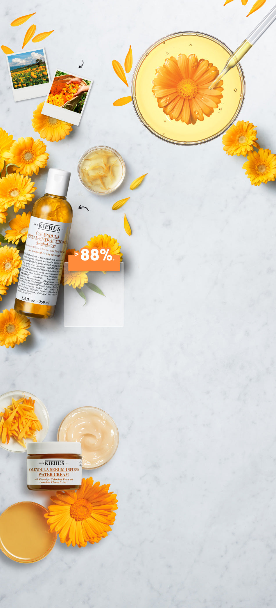 Kiehl's - 金盞花植物精華爽膚水 500ml - 平行進口