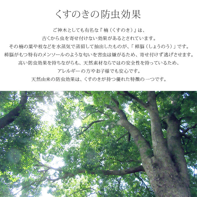 shesay - 日本製｜衣櫃用樟木防蟲掛架 - 平行進口