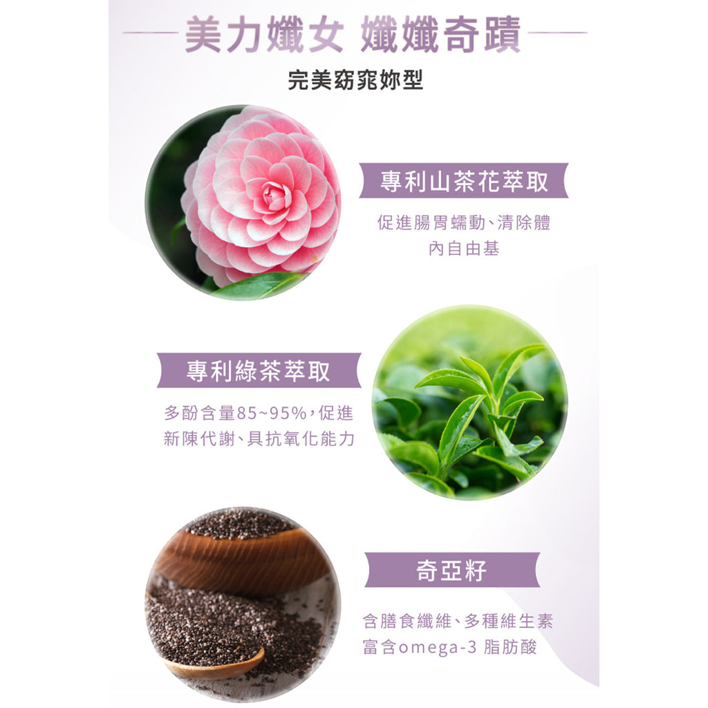 TRYALL -【10包裝】機能植物蛋白飲｜孅孅奇蹟芋頭奶｜30g/包