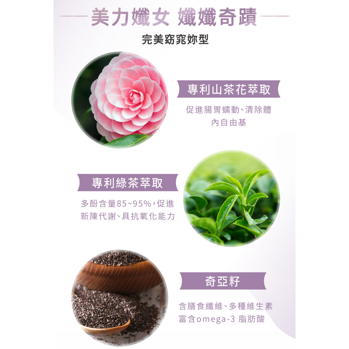 TRYALL -【10包裝】機能植物蛋白飲｜孅孅奇蹟芋頭奶｜30g/包