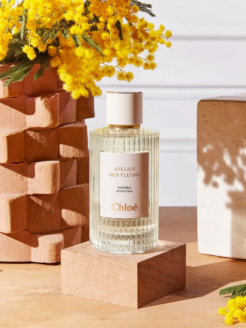 Chloé - 預訂｜仙境花園系列淡香精｜Herba Mimosa 淺吻含羞草 50ml - 平行進口